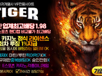 토토사이트 타이거-tiger 19가이드