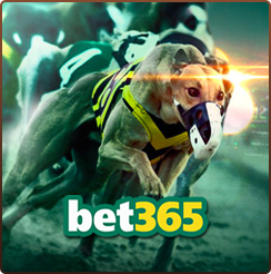 토토사이트 셔틀-bet365 19가이드