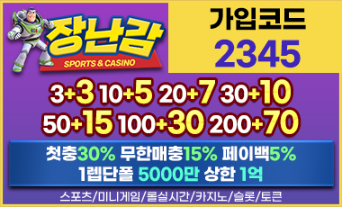 토토사이트 장난감 19가이드