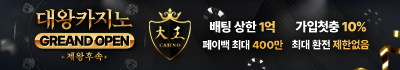 카지노사이트 대왕카지노 19가이드
