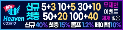 카지노사이트 뉴헤븐카지노 19가이드