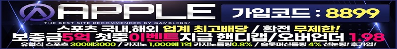 토토사이트 애플 19가이드